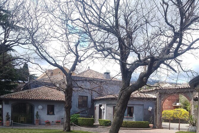 Private Etna tour with wine tasting and lunch - The Value of This Tour