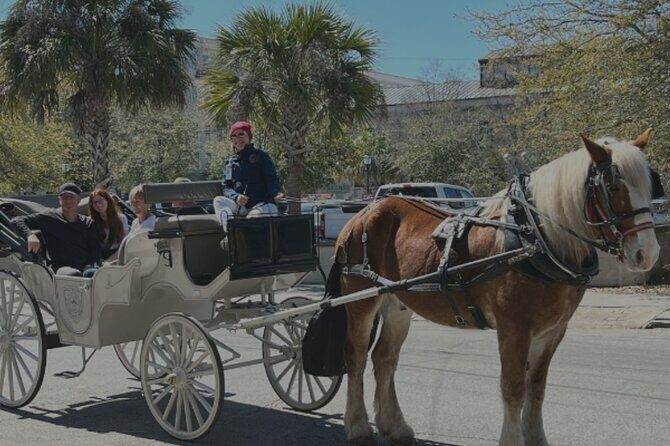 Private Evening Historic Carriage Tour in Charleston - The Sum Up
