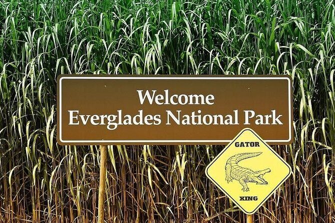 Private Everglades Tour: Explore the Beauty of the Everglades - An Overview of the Experience