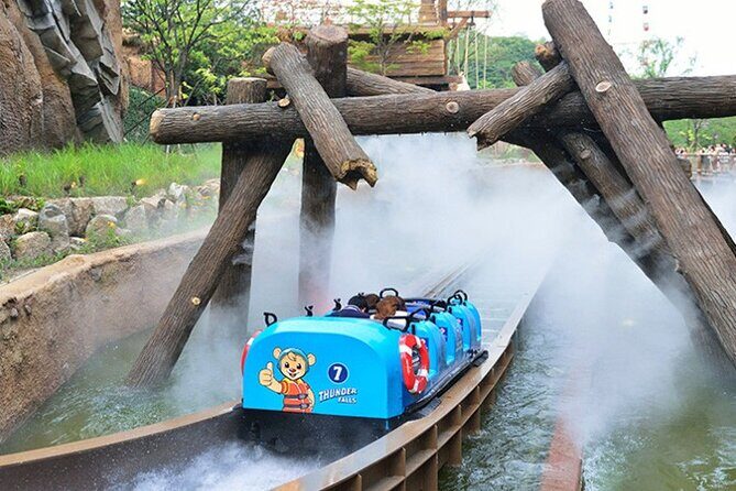 Private Everland Theme Park Tour - Who Is This Tour Best For?
