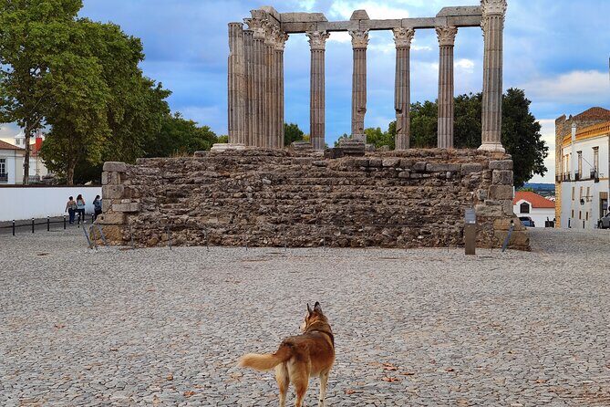 Private Évora Tour - Megaliths, Historical Center and Cork Region - Final Thoughts