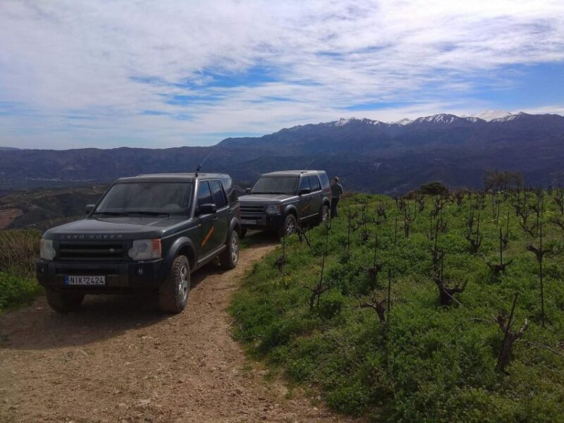 Private Exclusive Manousakis Winery and Vineyard Tour - Final Thoughts