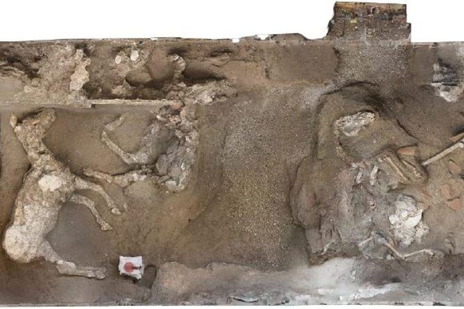 Private Exclusive VIP Tour of Positano, Pompeii & Mount Vesuvius - FAQ