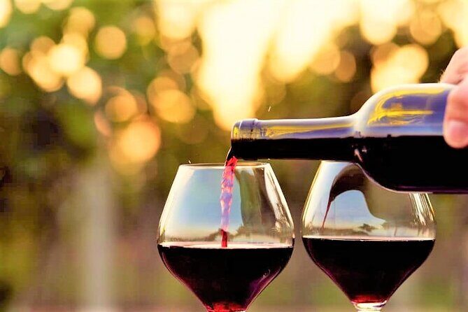Private Excursion from Orange County Including Lunch + Tastings - Practical Details and Considerations