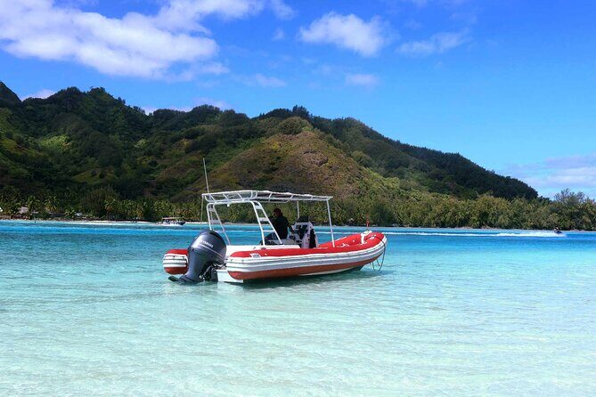 Private excursion Half day Moorea Discovery of the lagoon - An In-Depth Look at the Moorea Lagoon Tour
