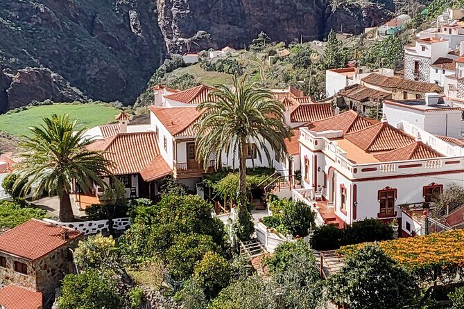 Private Excursion The mountains of Gran Canaria for 2 to 4 people - An In-Depth Look at the Mountain Adventure