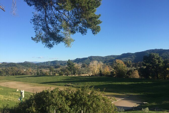 Private Excursion to Ancient Olympia - bee farm & winery - Return to Katakolo Port