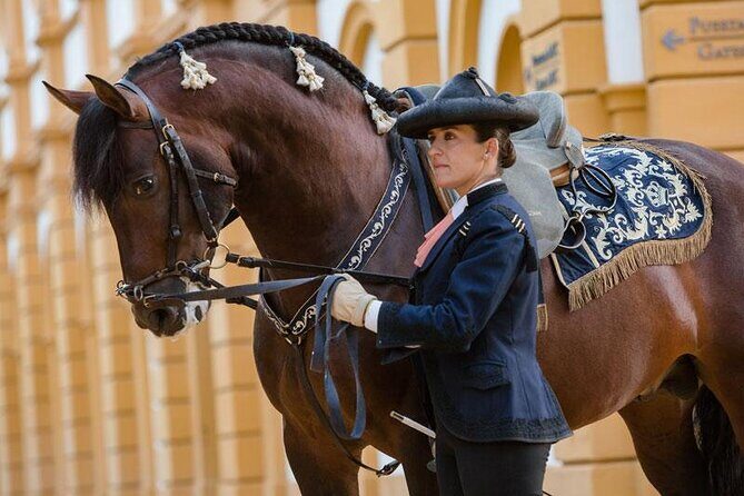 Private excursion to Jerez de la Frontera with Equestrian Show from Cadiz - Exploring the Rich Tapestry of Jerez de la Frontera