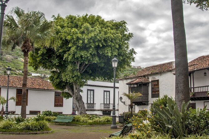 Private Excursion to Masca, Garachico, Icod in Tenerife - An In-Depth Look at the Itinerary