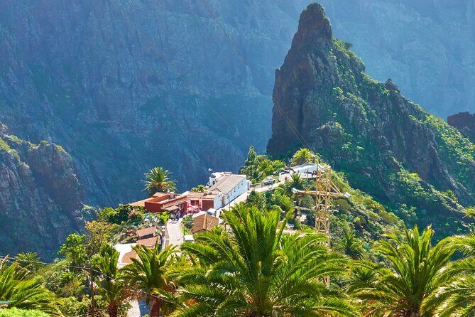 Private Excursion to Masca, Garachico, Icod in Tenerife - Who Should Book This Tour?