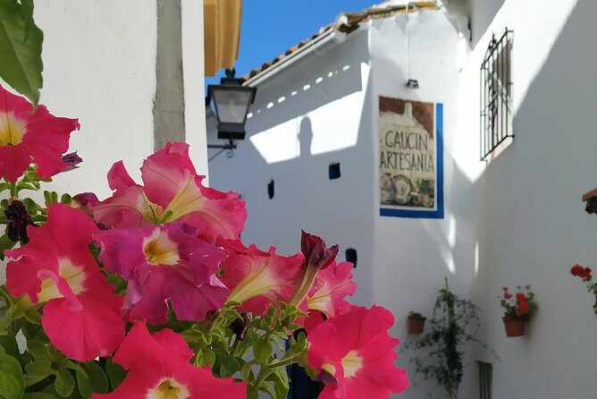 Private Excursion to Ronda from Costa del Sol 7 Hours - Final Thoughts: Who Is This Tour Perfect For?