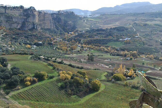 Private Excursion to Ronda from Costa del Sol 7 Hours - Frequently Asked Questions