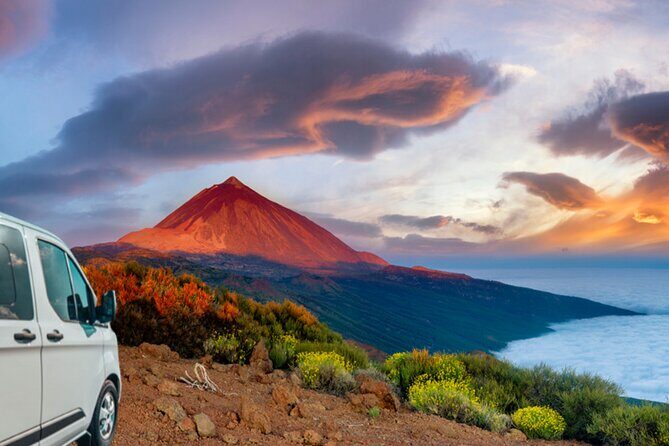 Private excursion to Teide National Park - The Guide and Transportation: Making the Experience Special