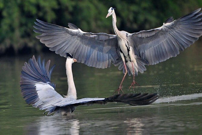 Private Excursion Trip to Bharatpur's Keoladeo National Park From Delhi - Why Choose This Tour?
