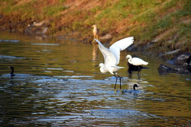 Private Excursion Trip to Bharatpur's Keoladeo National Park From Delhi - Final Thoughts