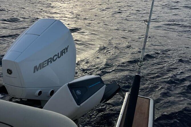 Private Experience - day of fishing on the Bari coast - What to Expect During the Day