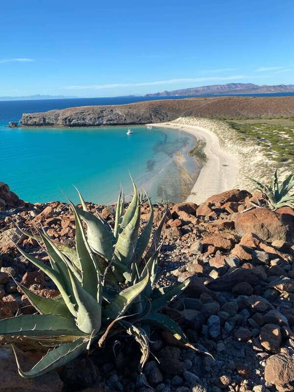 Private experience from Los Cabos to La Paz: (Balandra) - Key Points