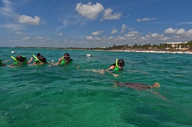 Private Experience in Akumal with Snorkeling - Practical Details: Timing and Booking