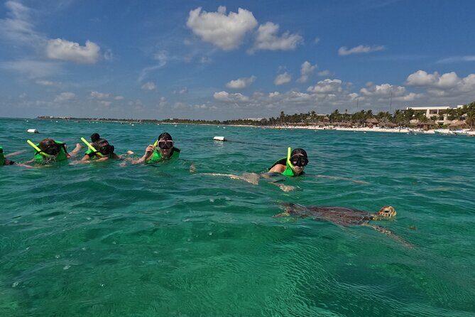Private Experience in Akumal with Snorkeling - Value and Ideal Audience