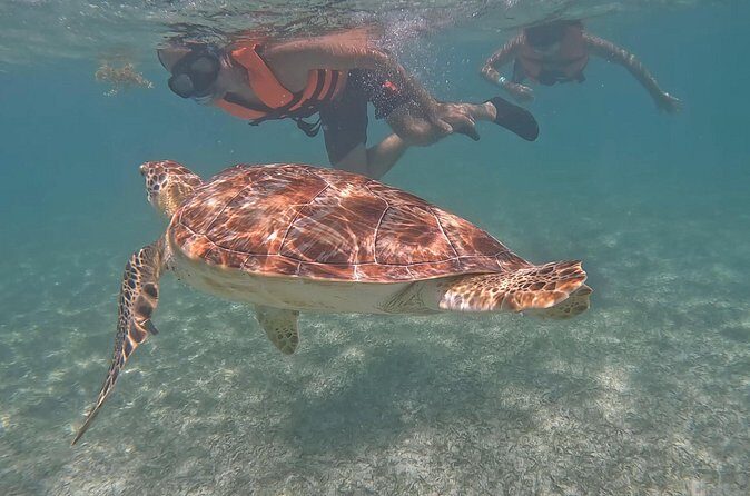 Private Experience in Akumal with Snorkeling - Frequently Asked Questions