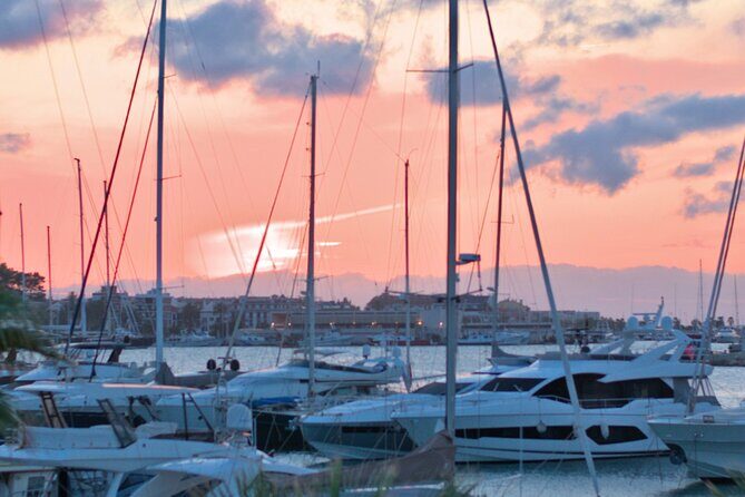 Private Experience Painting and Gastronomy in Denia Sea Sunset - FAQ Section