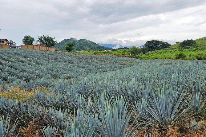 Private Experience to San Sebastián del Oeste - A Scenic Journey into Mexico’s Heartland