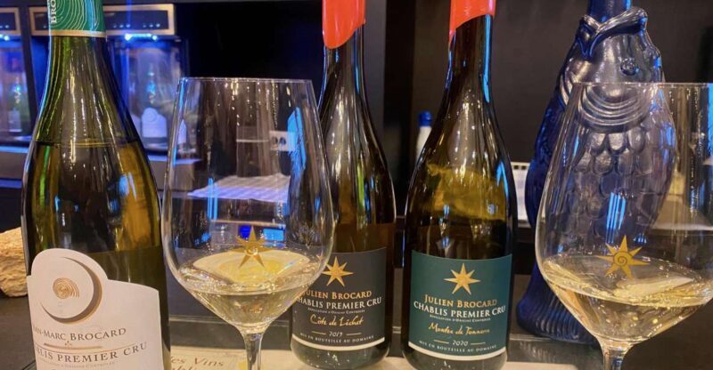 Private Exquisite Red & White Burgundy Wines Trip from Paris - Who Will Love This Tour?