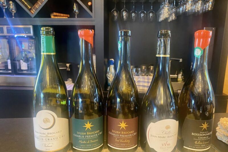 Private Exquisite Red & White Burgundy Wines Trip from Paris - Ready to Explore Burgundy?