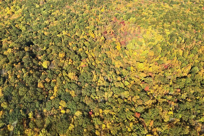 Private Fall Foliage Helicopter Tour for 2-6 from Westchester - FAQ