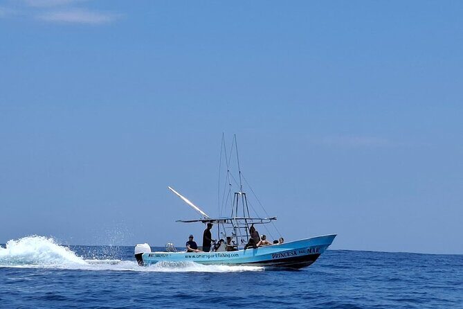 Private Family Dolphin and Whale Tour in Puerto Escondido - The Itinerary: What to Expect