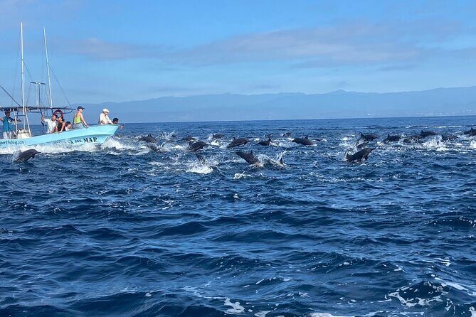 Private Family Dolphin and Whale Tour in Puerto Escondido - Analyzing the Value