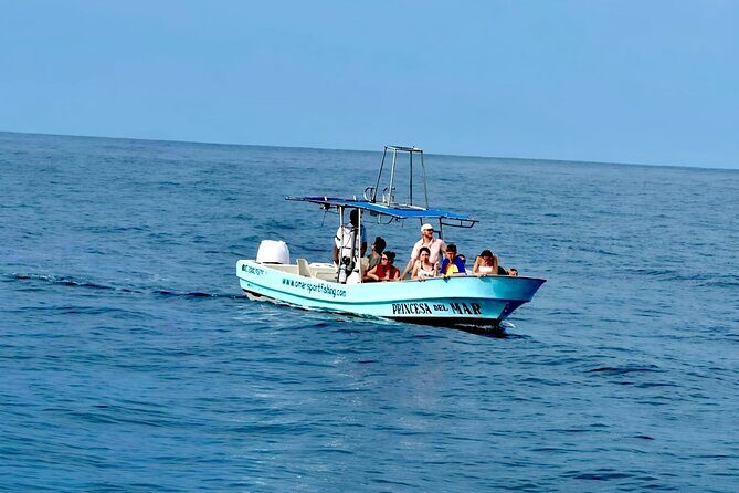 Private Family Dolphin and Whale Tour in Puerto Escondido - Who Should Book?