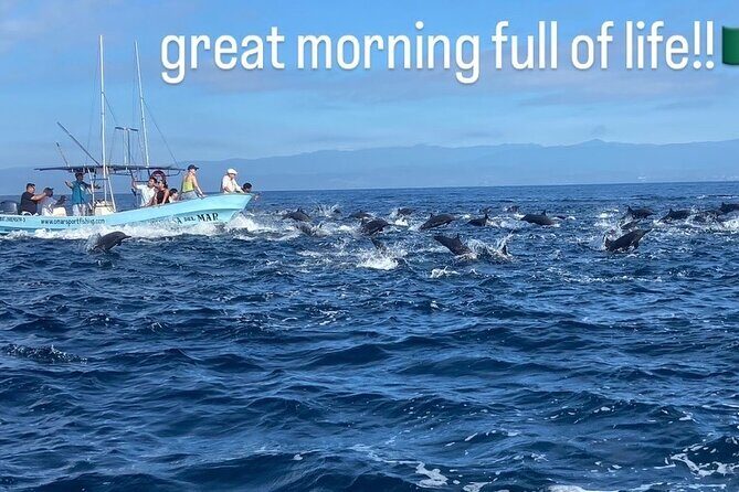Private Family Dolphin and Whale Tour in Puerto Escondido - FAQ
