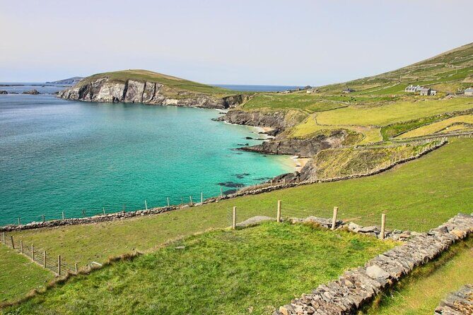 Private family sea safari - Discovering the Dingle Coast from the Water