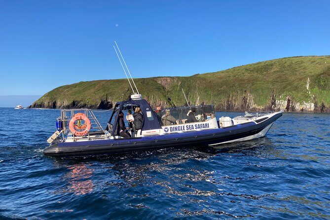 Private family sea safari - The Itinerary: What to Expect