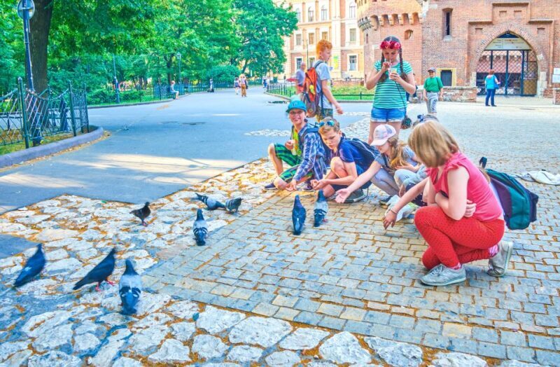 Private Family Tour of Krakow Old Town with Cruise Tickets - A Family Adventure Through Krakow’s Historic Streets