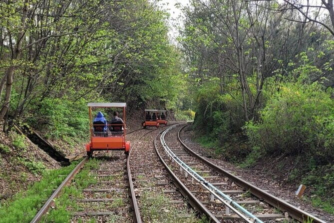Private Family Tour Rail Bike Nami Island Cable Car Garden - Practical Insights & What You Need to Know