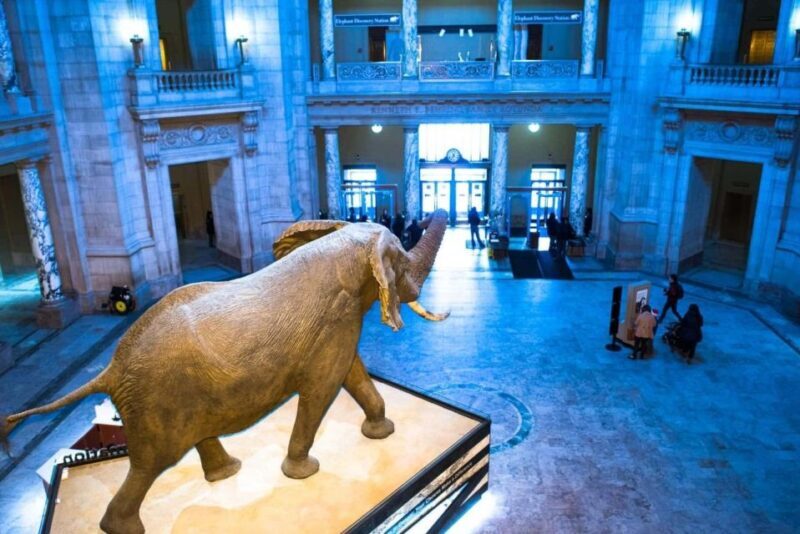 Private Family walking tour in Washington - What Other Travelers Say