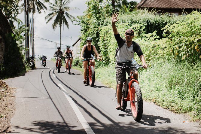 Private Fat Tire E-Bike Tour in Ubud - Authentic Insights from Reviewers