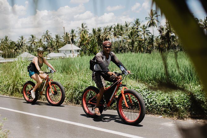 Private Fat Tire E-Bike Tour in Ubud - FAQ