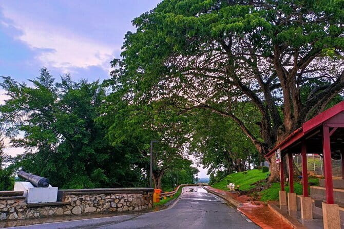 Private Fireflies Tour with Blue Tears and Seafood Dinner - A Deep Dive into the Experience