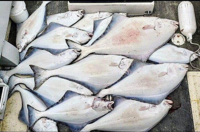 Private Fishing Adventure in Icy Strait Hoonah Alaska - What You Can Expect from a Private Fishing Trip in Icy Strait