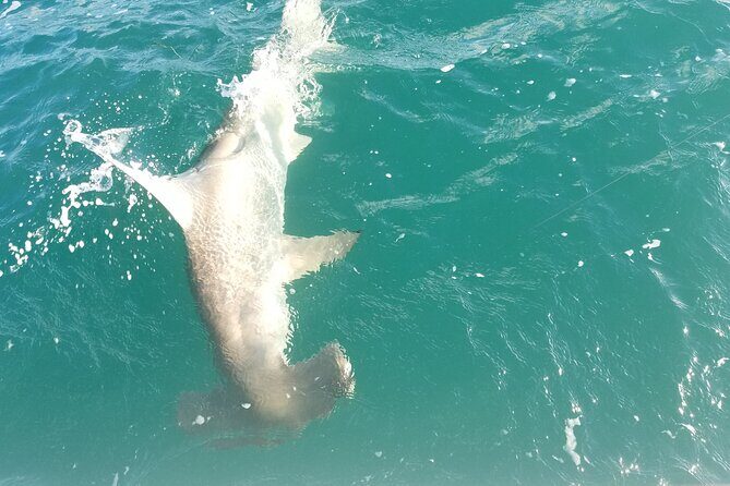Private Fishing Charter Florida Keys - Key Points