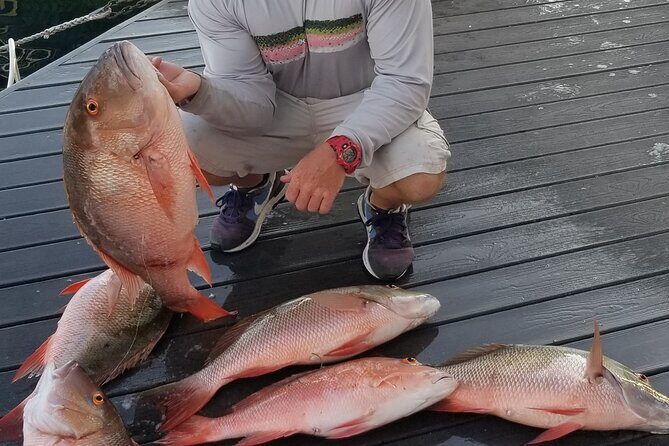 Private Fishing Charter Florida Keys - Special Activities: Lobster and Snorkeling