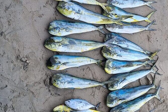 Private Fishing Experience in Guayabitos - What to Expect from the Itinerary