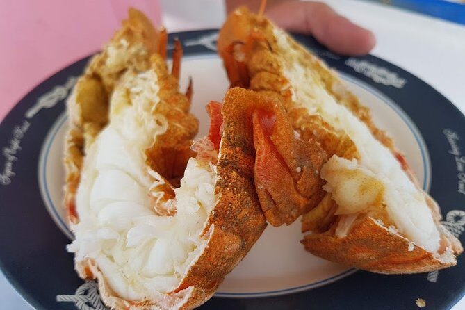 Private Fishing Tour - Sunset (transportation included) - Key Points