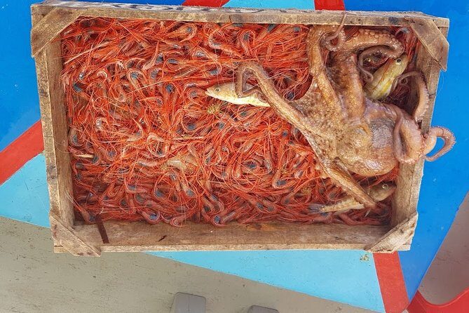 Private Fishing Tour - Sunset (transportation included) - Why This Tour Excels