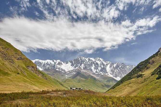 Private five days tour to Svaneti-Mestia, Ushguli, Becho,Chalaadi - What Travelers Say