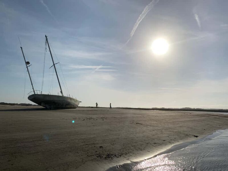 Private Folly River Dolphin Cruise/BYOB - Final Thoughts: Is It Worth It?