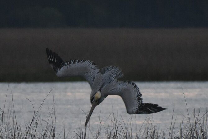 Private Folly River Sunset Dolphin Cruise - Why This Tour Offers Good Value